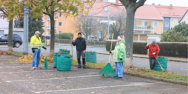 Arbeitseinsatz Laub im Schladener Freibad