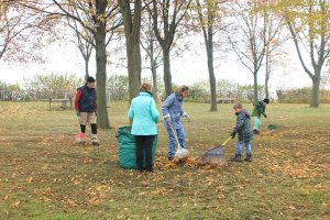 Arbeitseinsatz Laub im Schladener Freibad