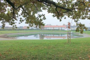 Arbeitseinsatz Laub im Schladener Freibad