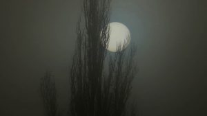 Nebel über Bad Harzburg