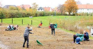 Naturfilteranlage Freibad Schladen fit für 2017