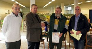 Kaninchenausstellung