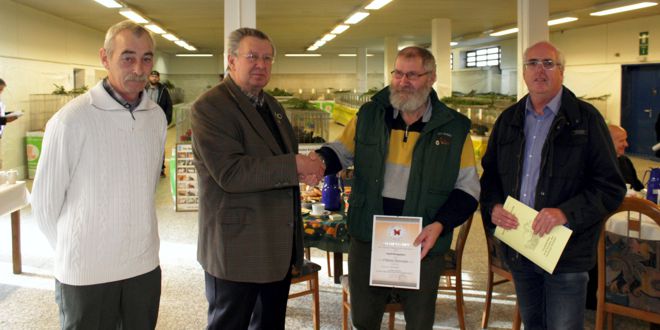 Kaninchenausstellung