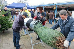 Weihnachtsbaumaktion 2016 im Freibad Schladen