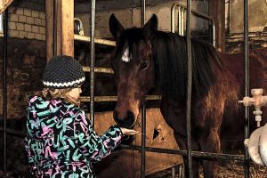 Weihnachten im Stall in Heudeber