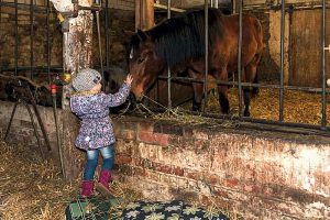 Weihnachten im Stall in Heudeber