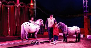 Zirkus Salino gastierte in Bad Harzburg
