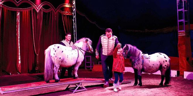 Zirkus Salino gastierte in Bad Harzburg