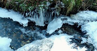 Bad Harzburger Mühlenbach