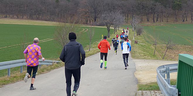 Blankenburger Regensteinlauf
