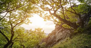 Frühjahrsmüdigkeit