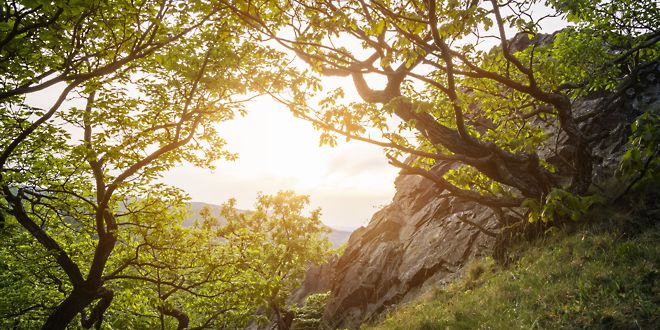 Frühjahrsmüdigkeit