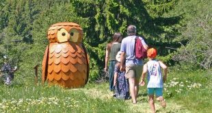 Löwenzahn-Entdeckerpfad