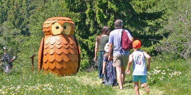 Löwenzahn-Entdeckerpfad