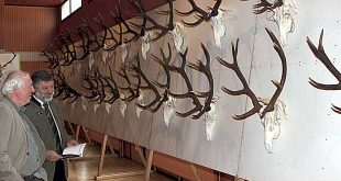 Rotwildschau des Rotwild-Ring-Harz