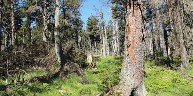 Unser Harz April 2017