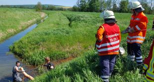 Gewässerverunreinigung