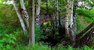 Das Flüsschen Stimmecke