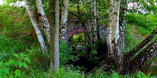 Das Flüsschen Stimmecke