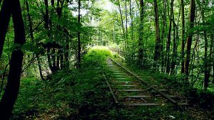 Das Flüsschen Stimmecke