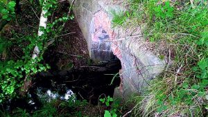 Das Flüsschen Stimmecke