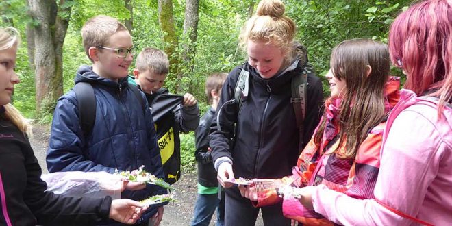 Nationalpark-Umweltbildung