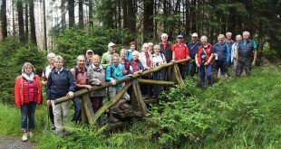 Wanderung Vienenburg Tourismus