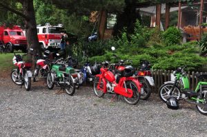 Schlangenmacher Treffen in Hornburg