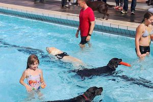 Hundeschwimmtag