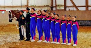 Voltigier Veranstaltung