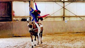 Voltigier Veranstaltung