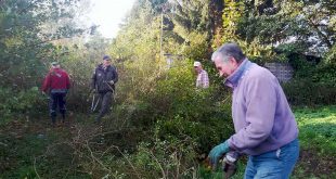 Schul-Schrebergarten