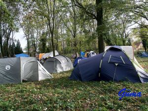 Gespannfahrertreffen