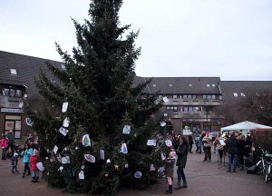 Weihnachtsbaum