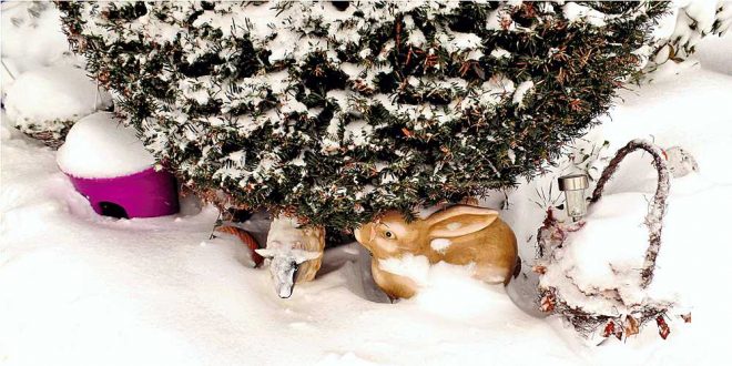 Bad Harzburg-Schlewecke