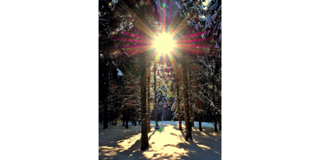 Sonne und Schnee