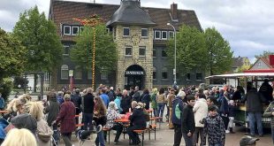 Vienenburger Maibaumaufstellen