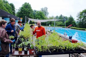Grüner Markt in Hornburg