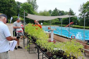 Grüner Markt in Hornburg