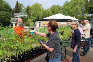 Grüner Markt in Hornburg