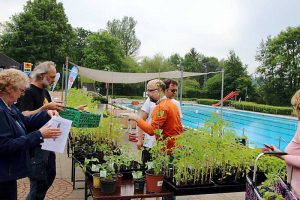 Grüner Markt in Hornburg