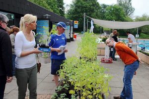 Grüner Markt in Hornburg