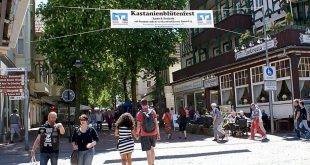Kastanienblütenfest