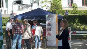 Kastanienblütenfest