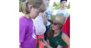 Commerzbank-Umweltpraktikanten