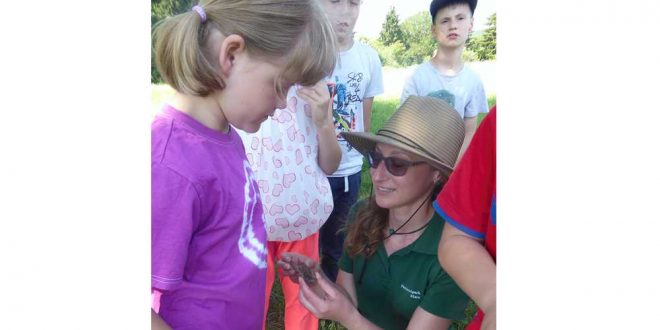 Commerzbank-Umweltpraktikanten