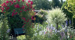 Ein schattiges Plätzchen