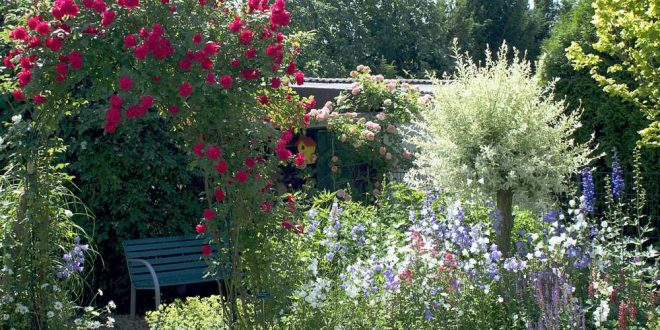 Ein schattiges Plätzchen