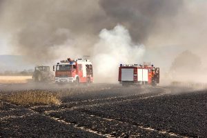Getreidefeld brennt lichterloh