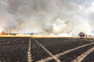 Getreidefeld brennt lichterloh